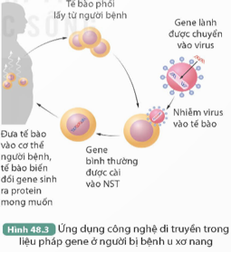 BÀI 48: ỨNG DỤNG CÔNG NGHỆ DI TRUYỀN VÀO ĐỜI SỐNG